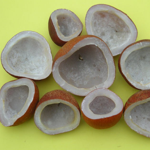 Edible Copra supplied by Falken Groups
