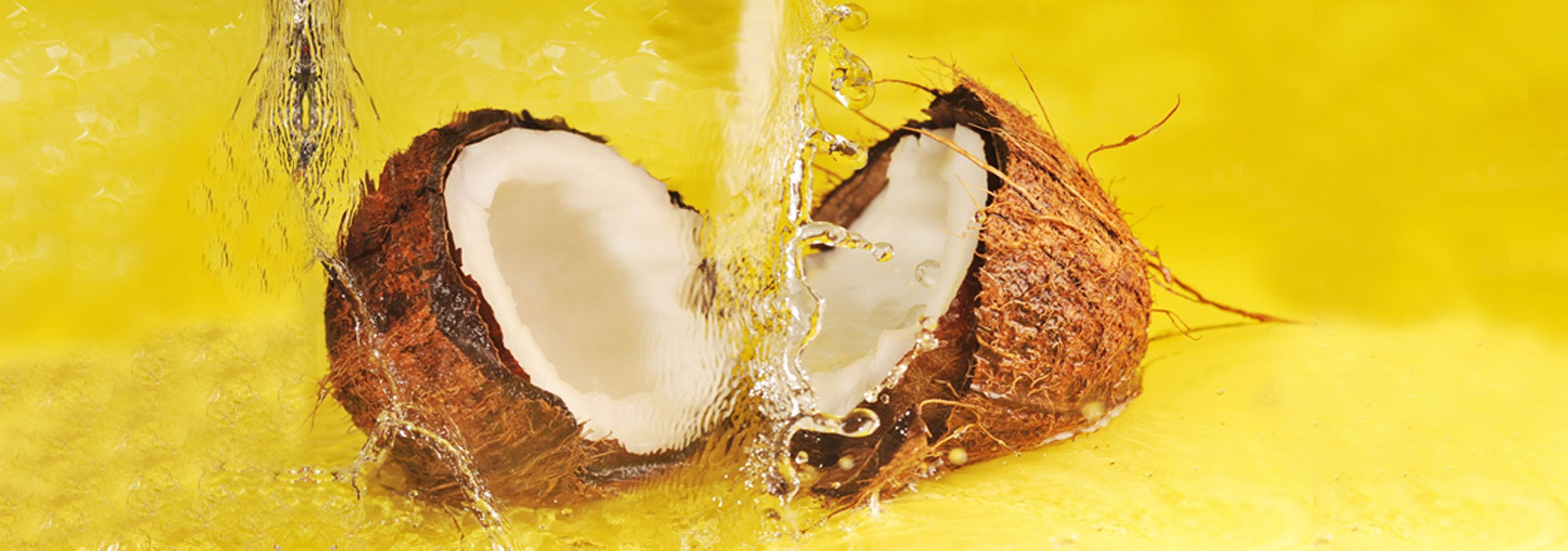 banner1.jpg